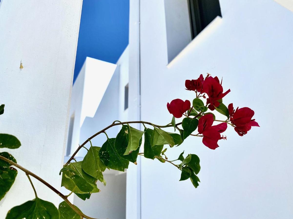 Gennadi Harmony Suites - 200 M From The Sea المظهر الخارجي الصورة